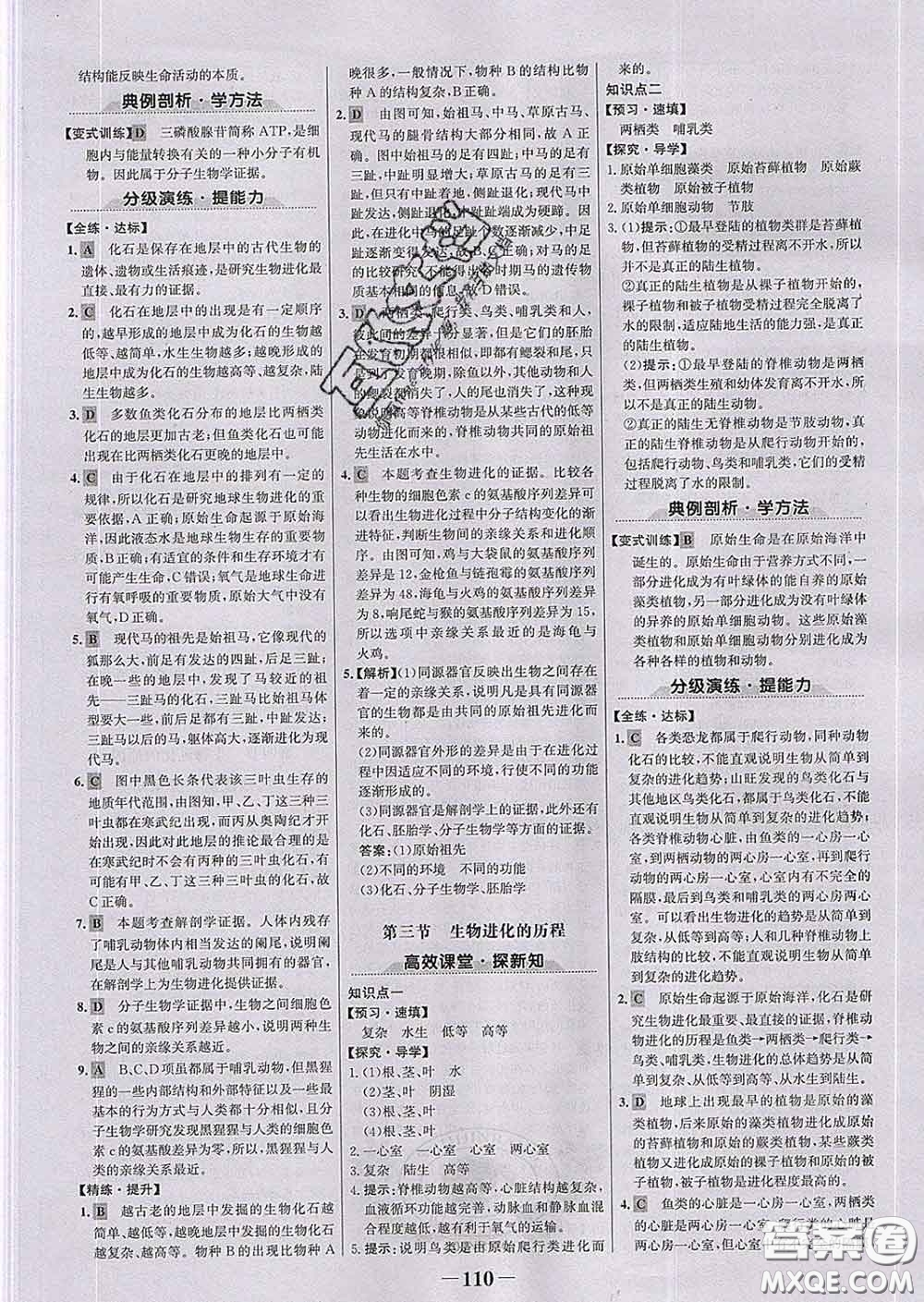 2020新版世紀金榜金榜學案八年級生物下冊濟南版答案