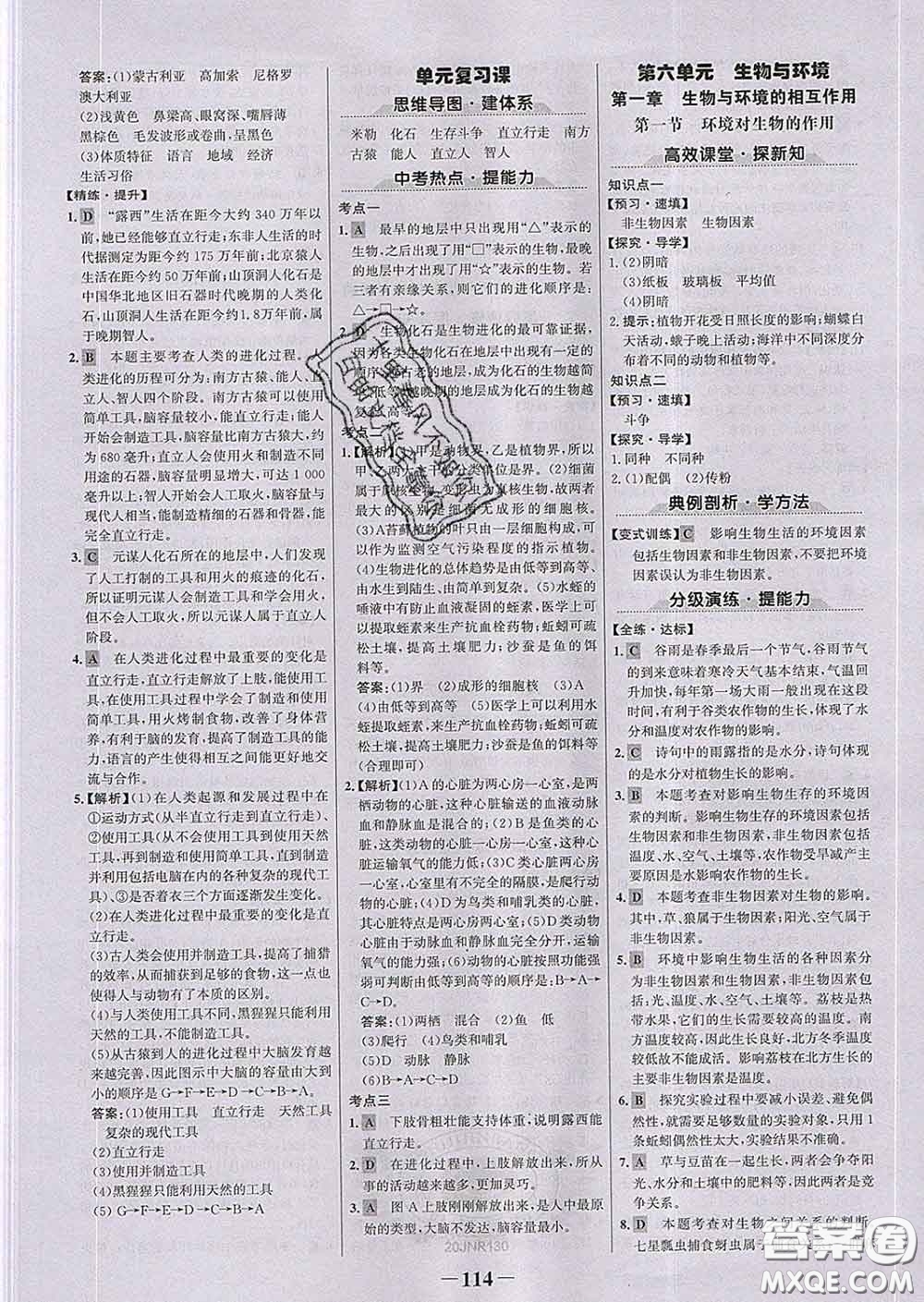 2020新版世紀金榜金榜學案八年級生物下冊濟南版答案