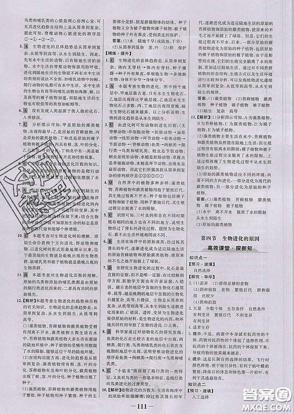 2020新版世紀金榜金榜學案八年級生物下冊濟南版答案