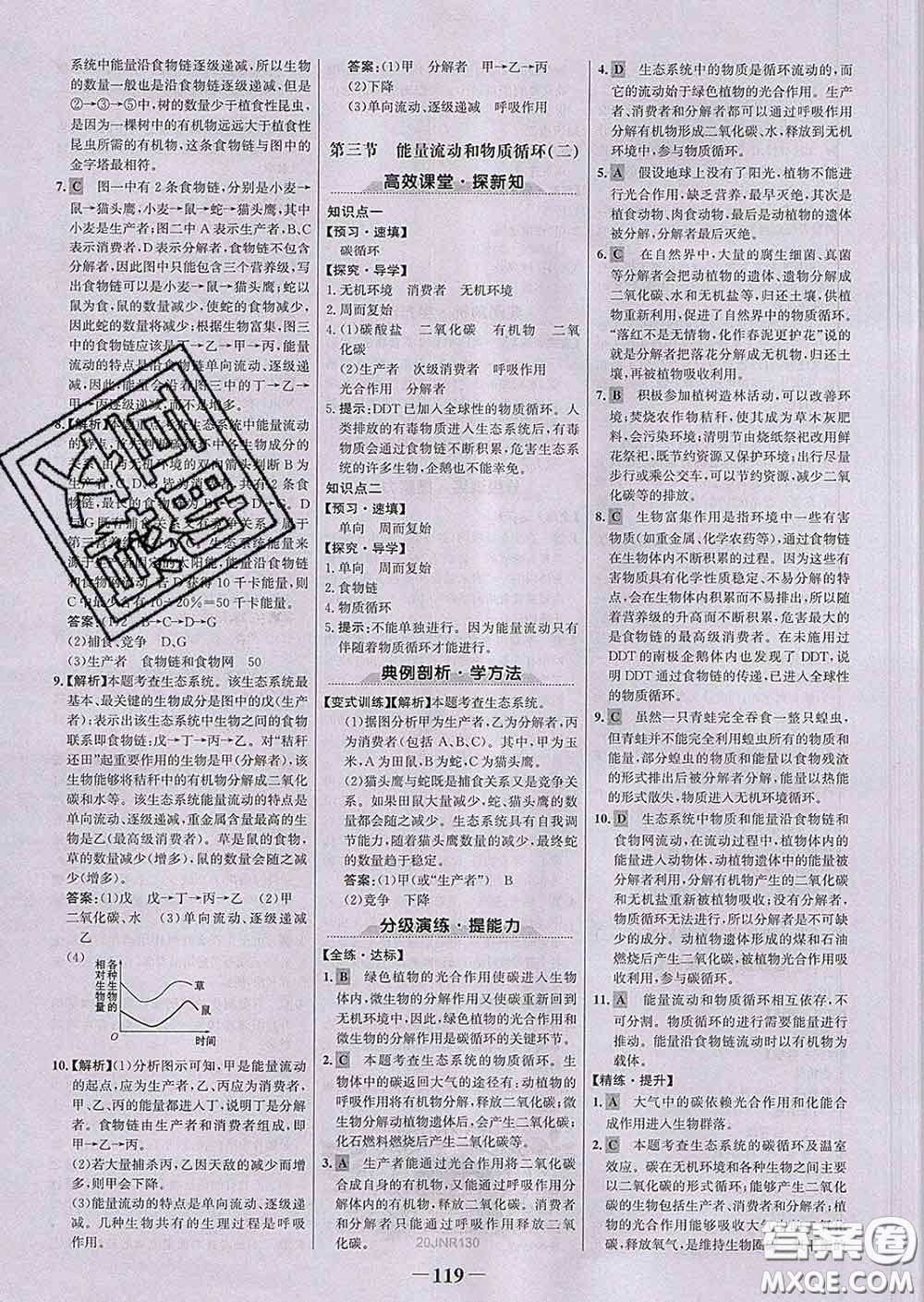 2020新版世紀金榜金榜學案八年級生物下冊濟南版答案