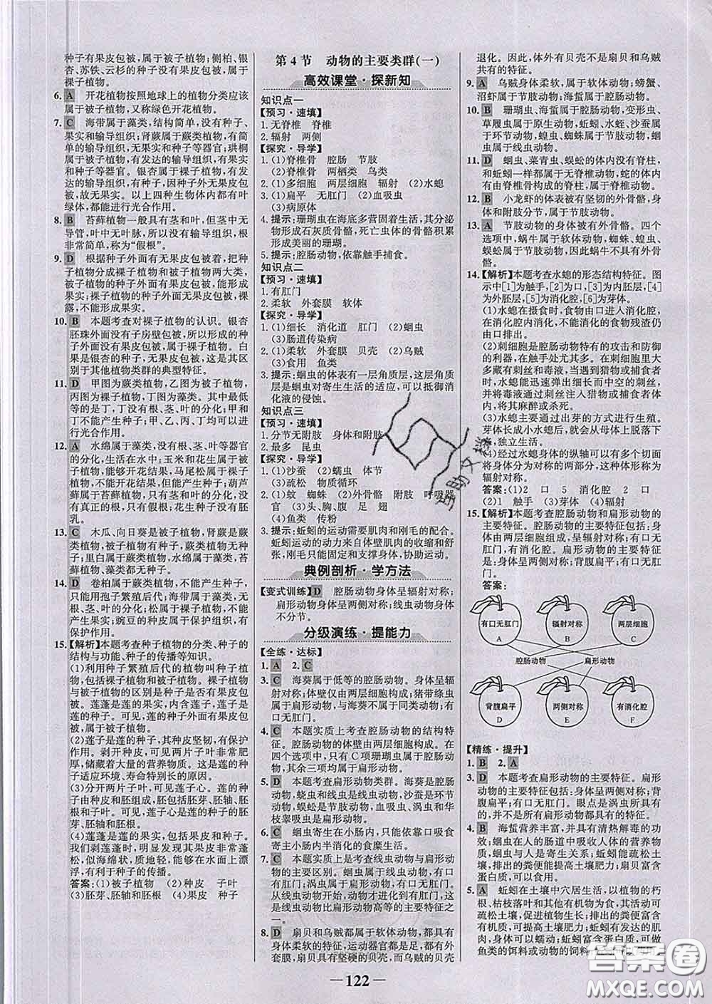 2020新版世紀(jì)金榜金榜學(xué)案八年級(jí)生物下冊(cè)北師版答案