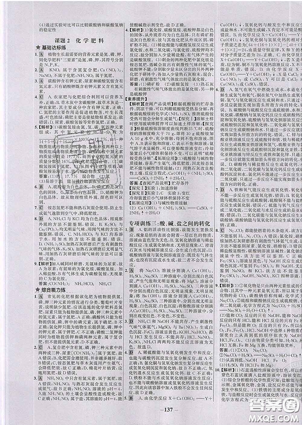2020春世紀金榜百練百勝九年級化學下冊人教版答案