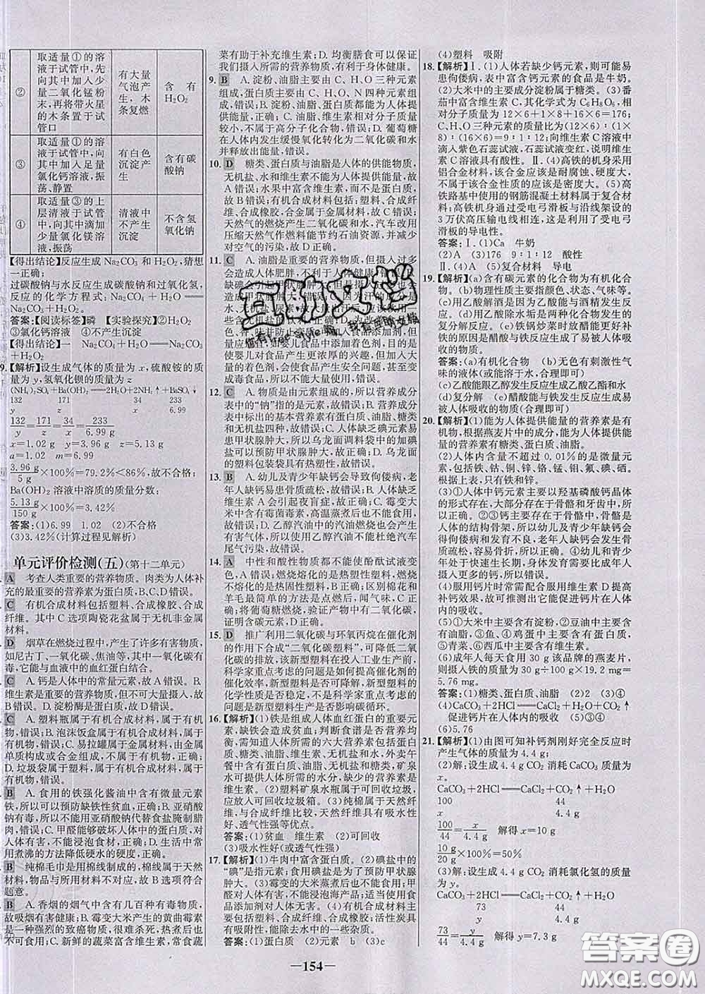 2020春世紀金榜百練百勝九年級化學下冊人教版答案