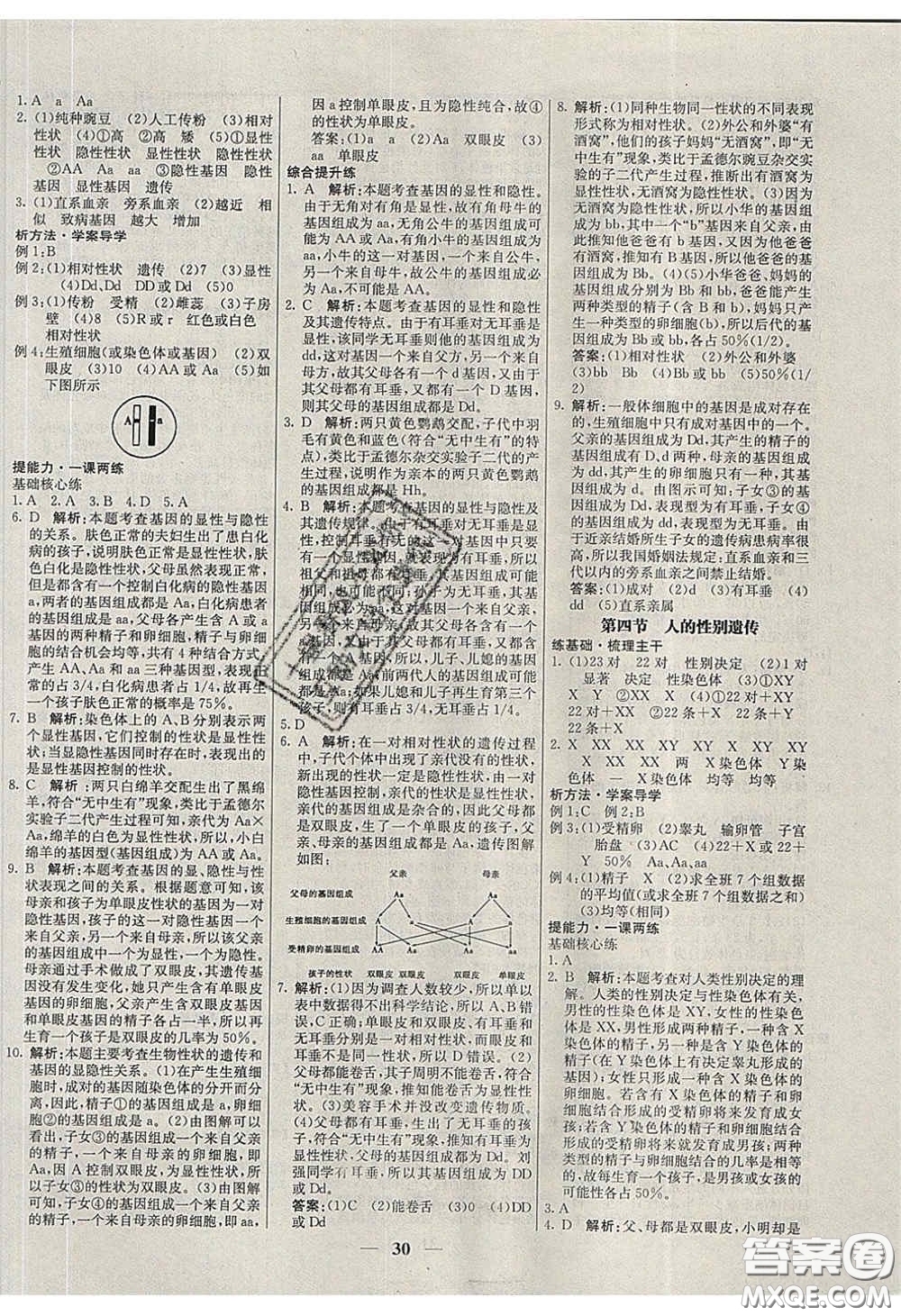 云南科技出版社2020年名校學(xué)案高效課時練八年級生物下冊人教版答案