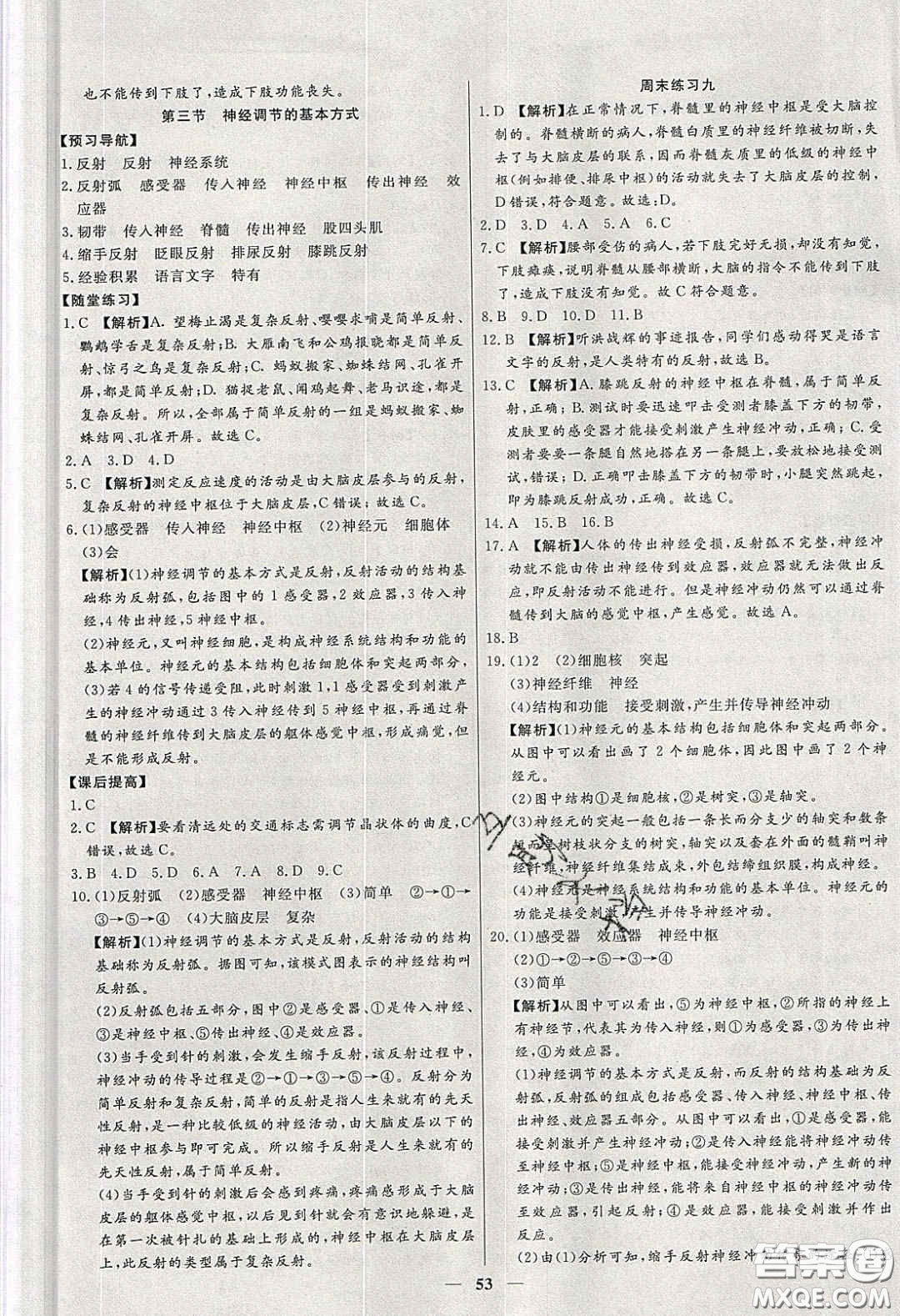 2020年春高分計劃中考版創(chuàng)新作業(yè)七年級生物下冊人教版答案