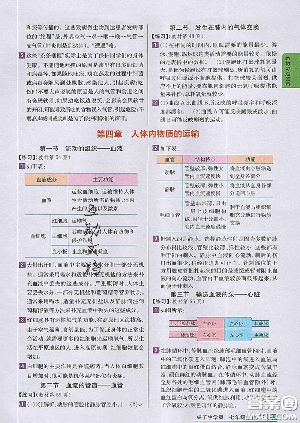 吉林人民出版社2020春尖子生學案七年級生物下冊人教版答案