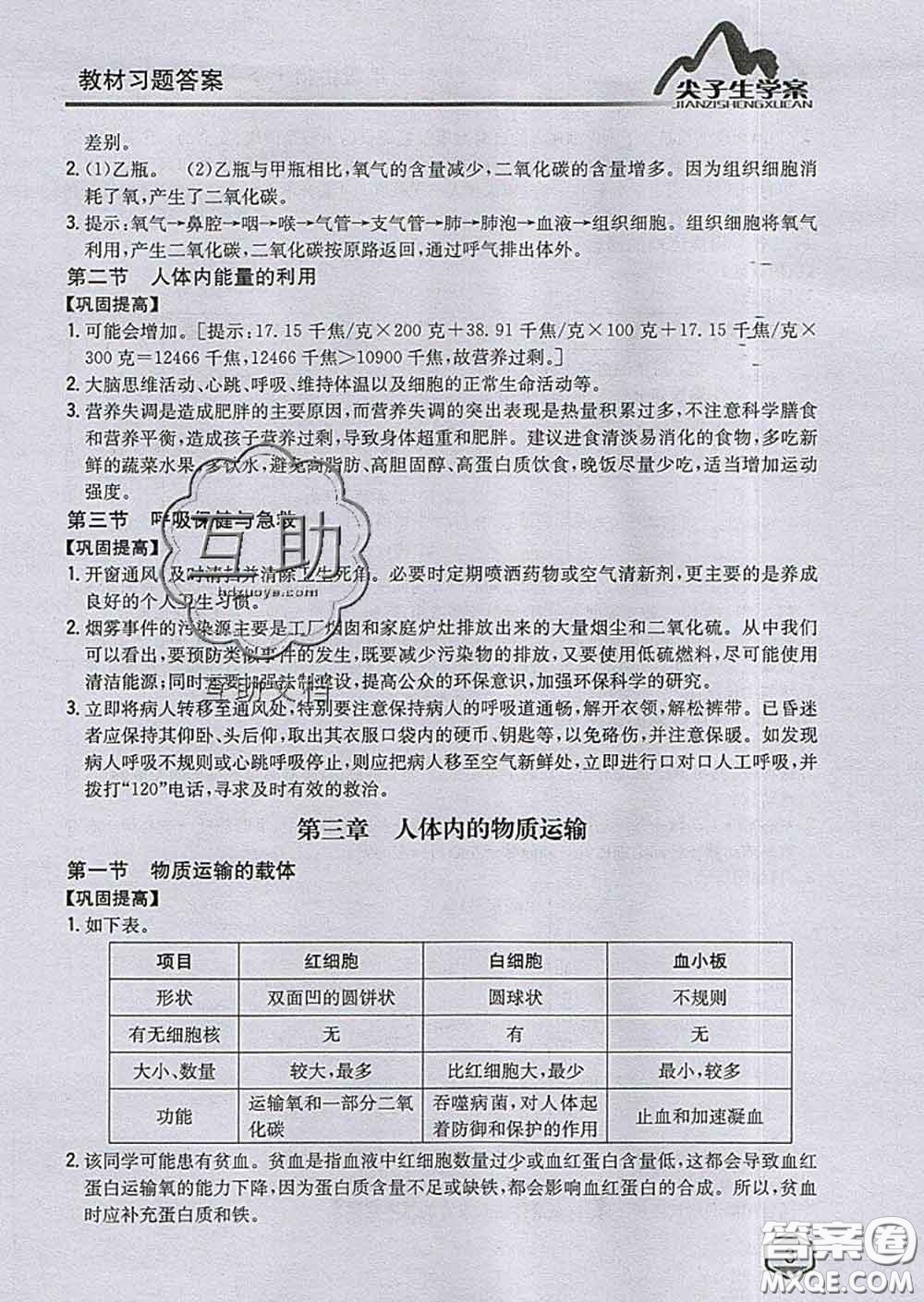 吉林人民出版社2020春尖子生學案七年級生物下冊濟南版答案