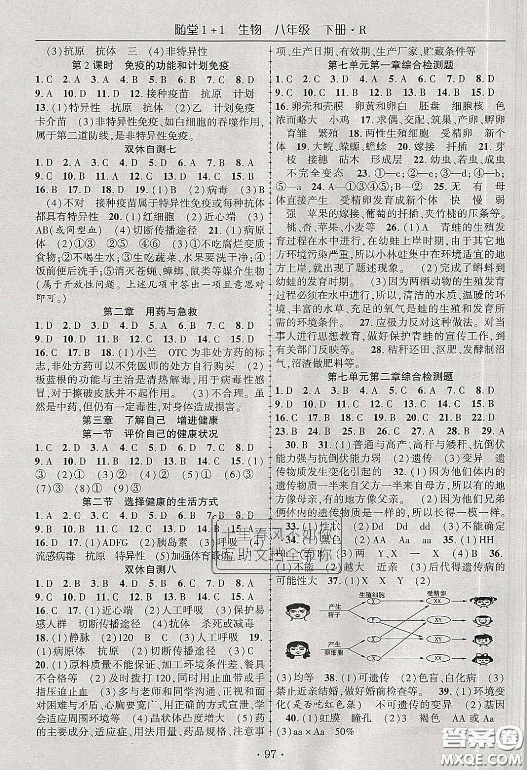 海韻圖書2020年春隨堂1+1導練八年級生物下冊人教版答案