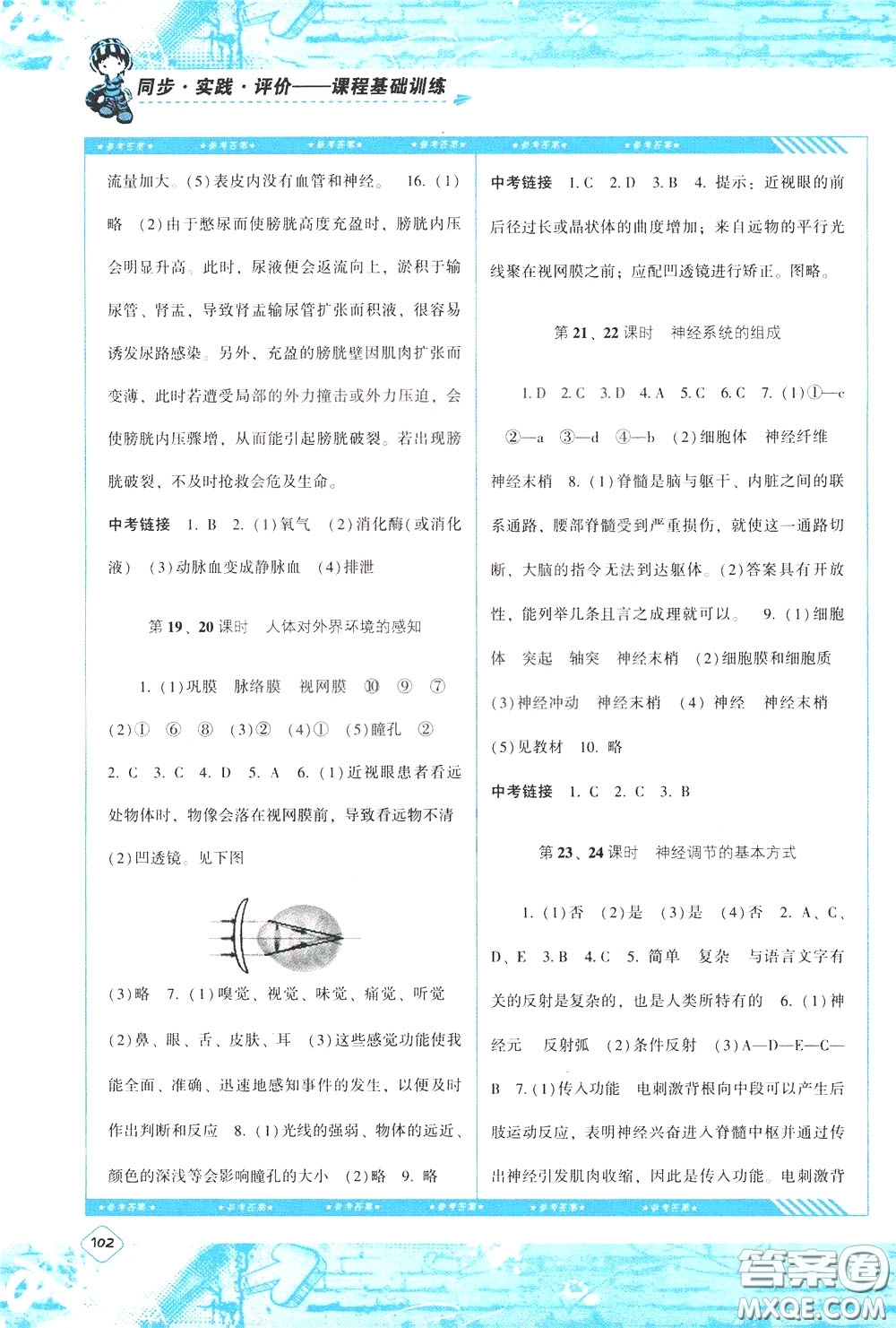 2020年課程基礎(chǔ)訓(xùn)練生物七年級下冊人教版參考答案