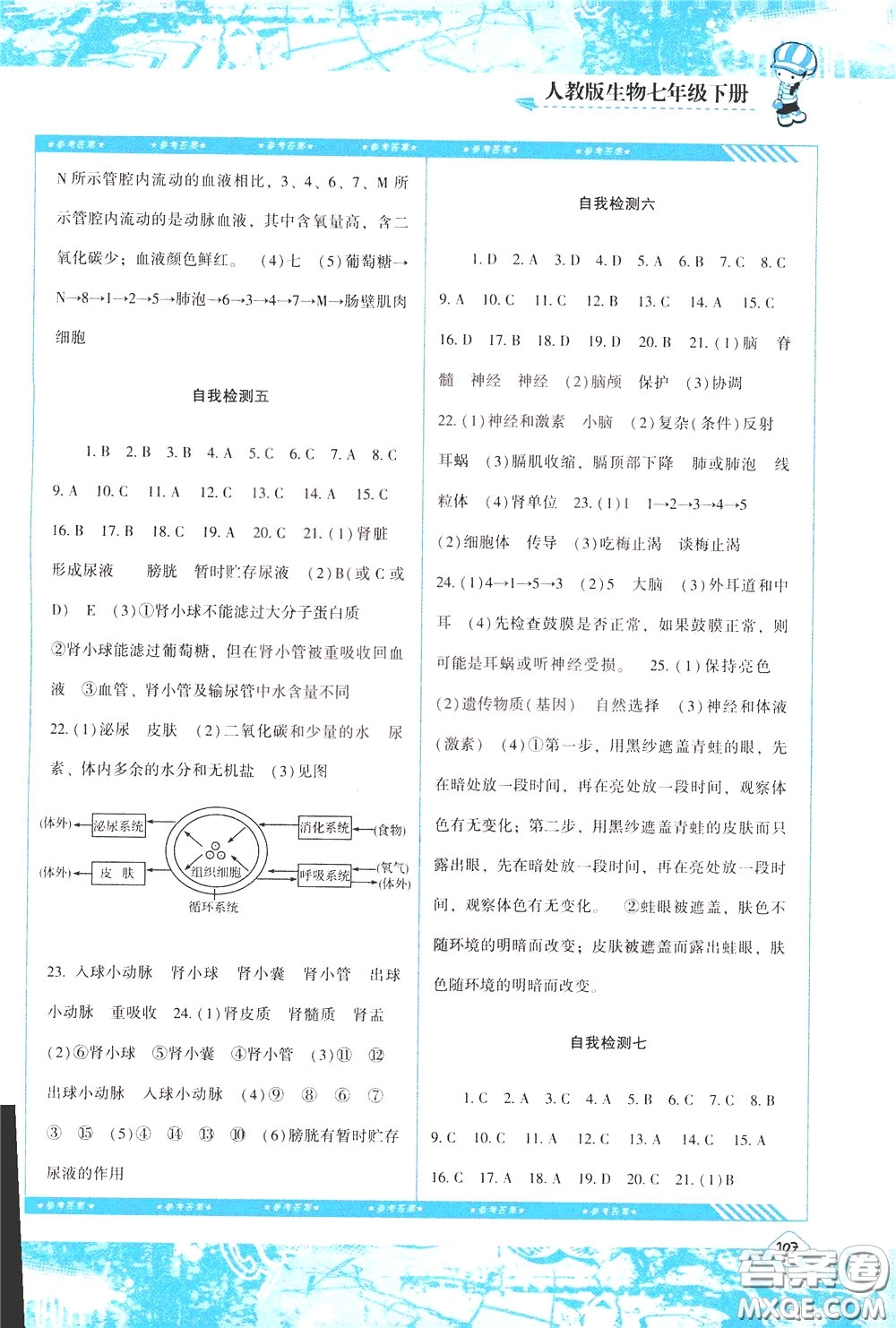 2020年課程基礎(chǔ)訓(xùn)練生物七年級下冊人教版參考答案