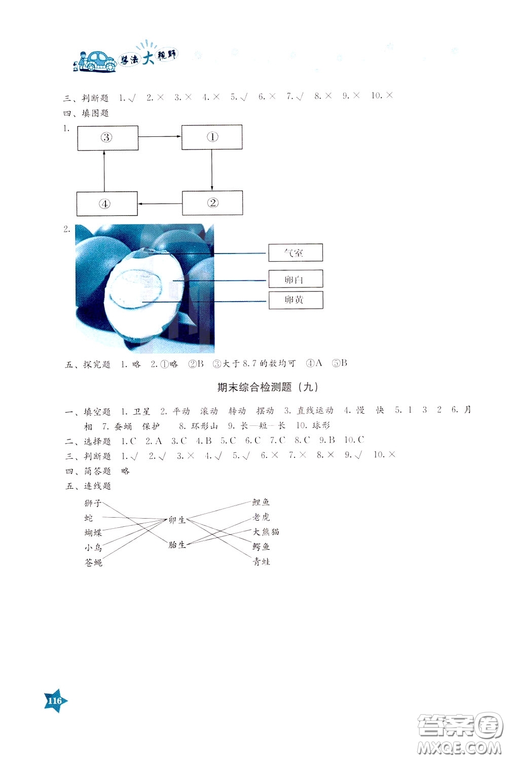 湖南教育出版社2020年學法大視野科學三年級下冊教科版參考答案