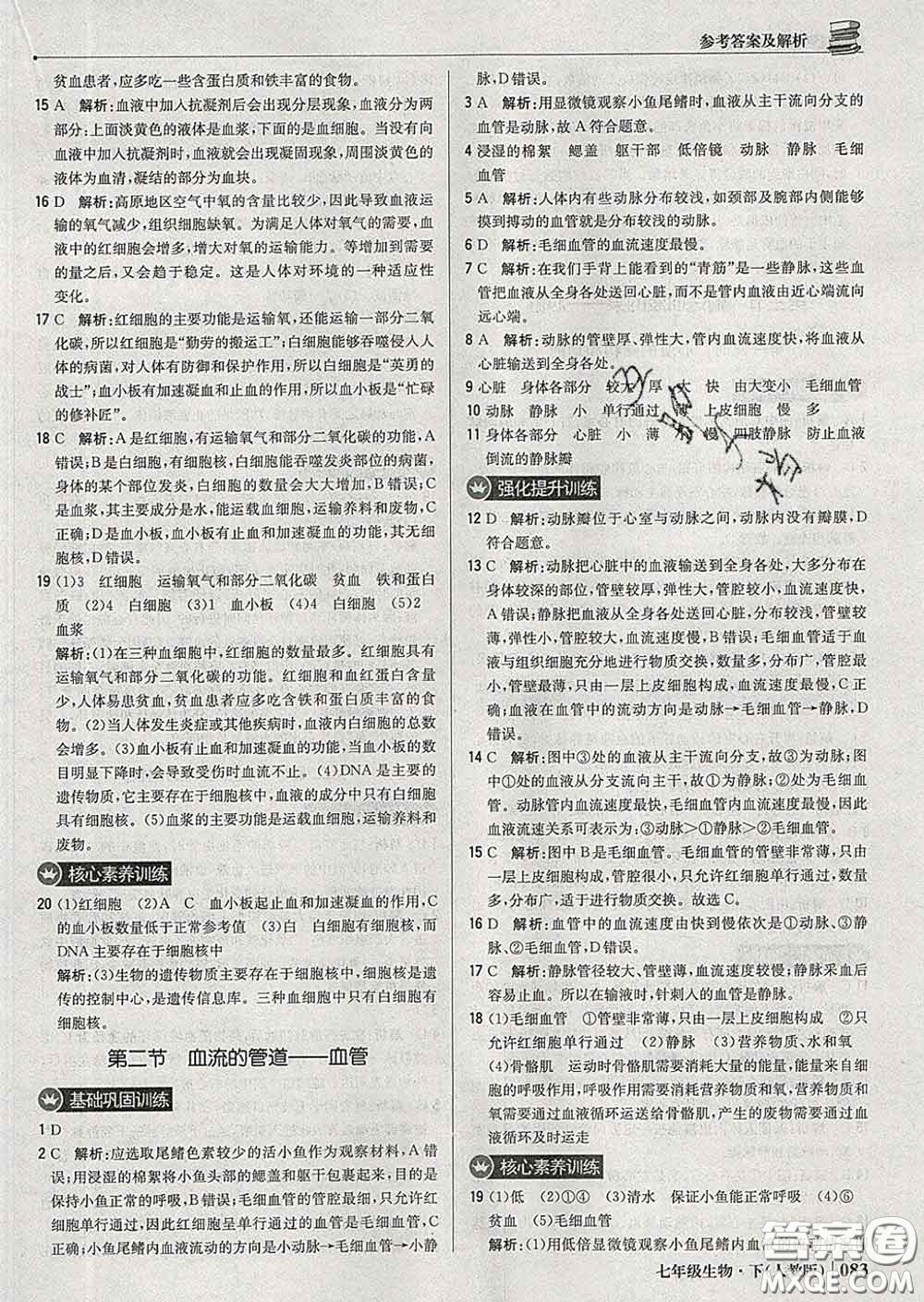 2020新版1加1輕巧奪冠優(yōu)化訓(xùn)練七年級生物下冊人教版答案