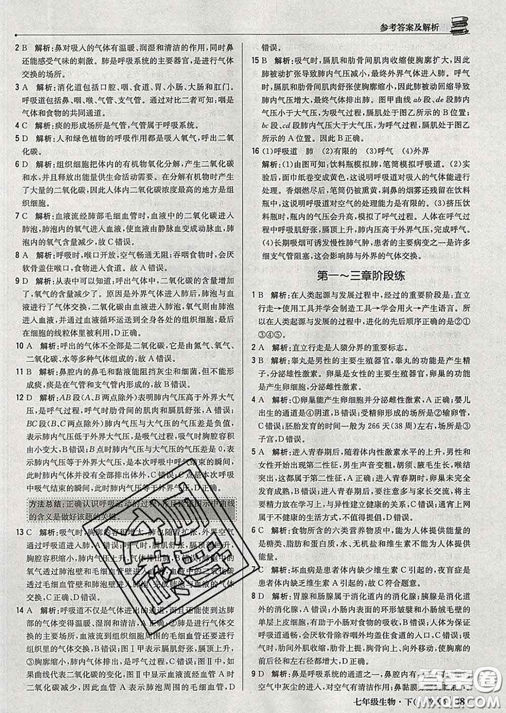2020新版1加1輕巧奪冠優(yōu)化訓(xùn)練七年級生物下冊人教版答案