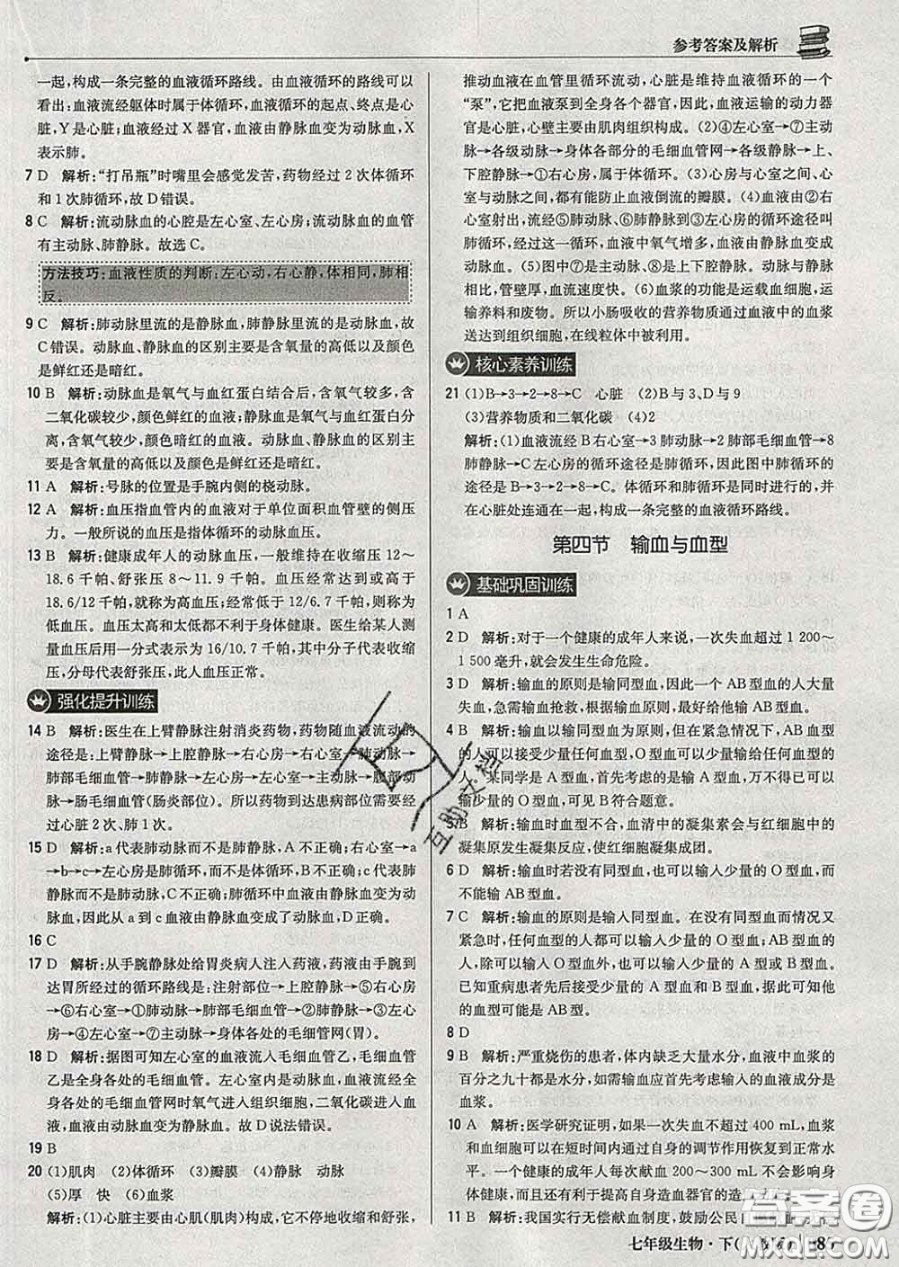 2020新版1加1輕巧奪冠優(yōu)化訓(xùn)練七年級生物下冊人教版答案
