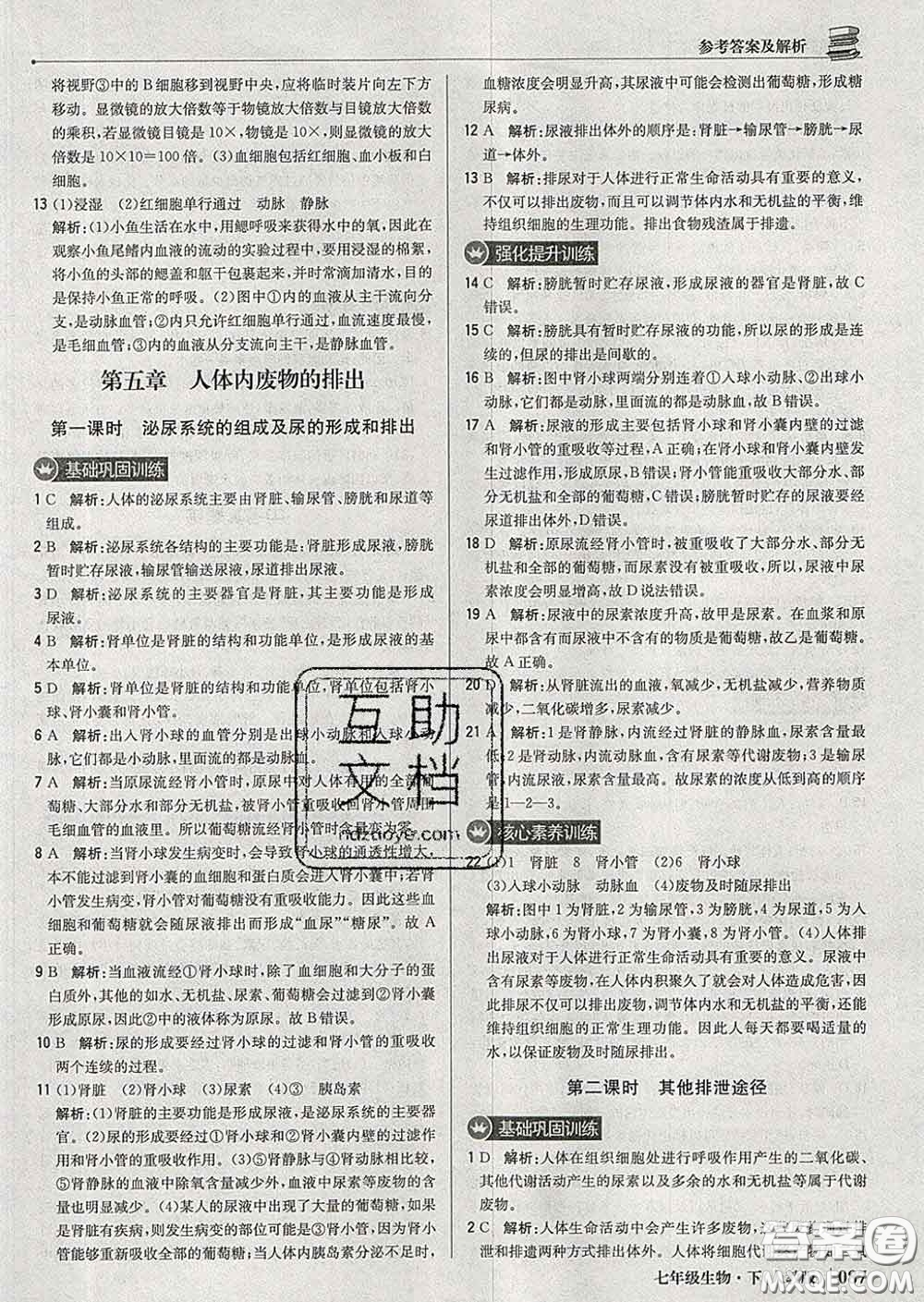 2020新版1加1輕巧奪冠優(yōu)化訓(xùn)練七年級生物下冊人教版答案