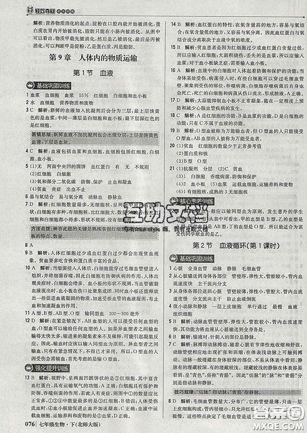 2020新版1加1輕巧奪冠優(yōu)化訓(xùn)練七年級生物下冊北師版答案