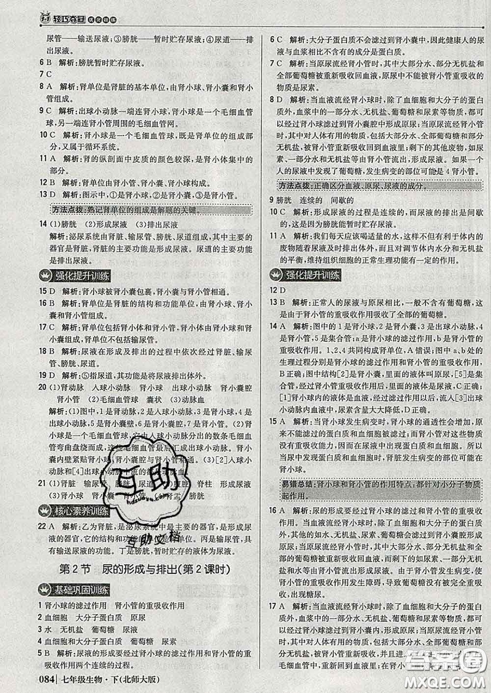 2020新版1加1輕巧奪冠優(yōu)化訓(xùn)練七年級生物下冊北師版答案