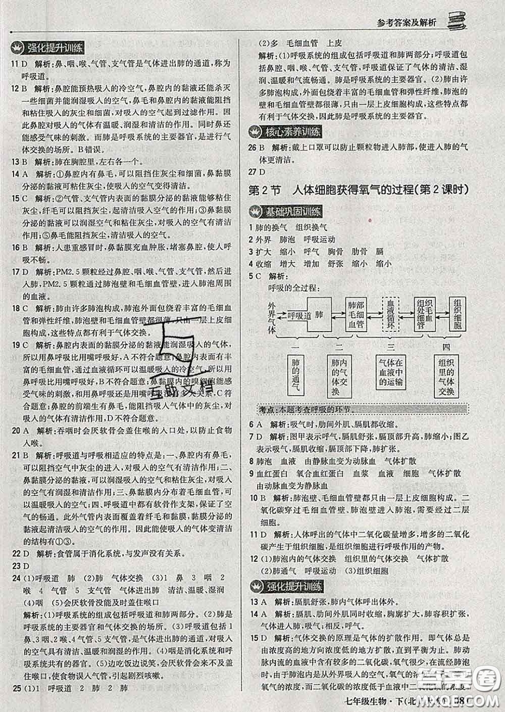 2020新版1加1輕巧奪冠優(yōu)化訓(xùn)練七年級生物下冊北師版答案