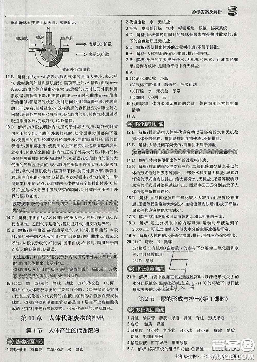 2020新版1加1輕巧奪冠優(yōu)化訓(xùn)練七年級生物下冊北師版答案