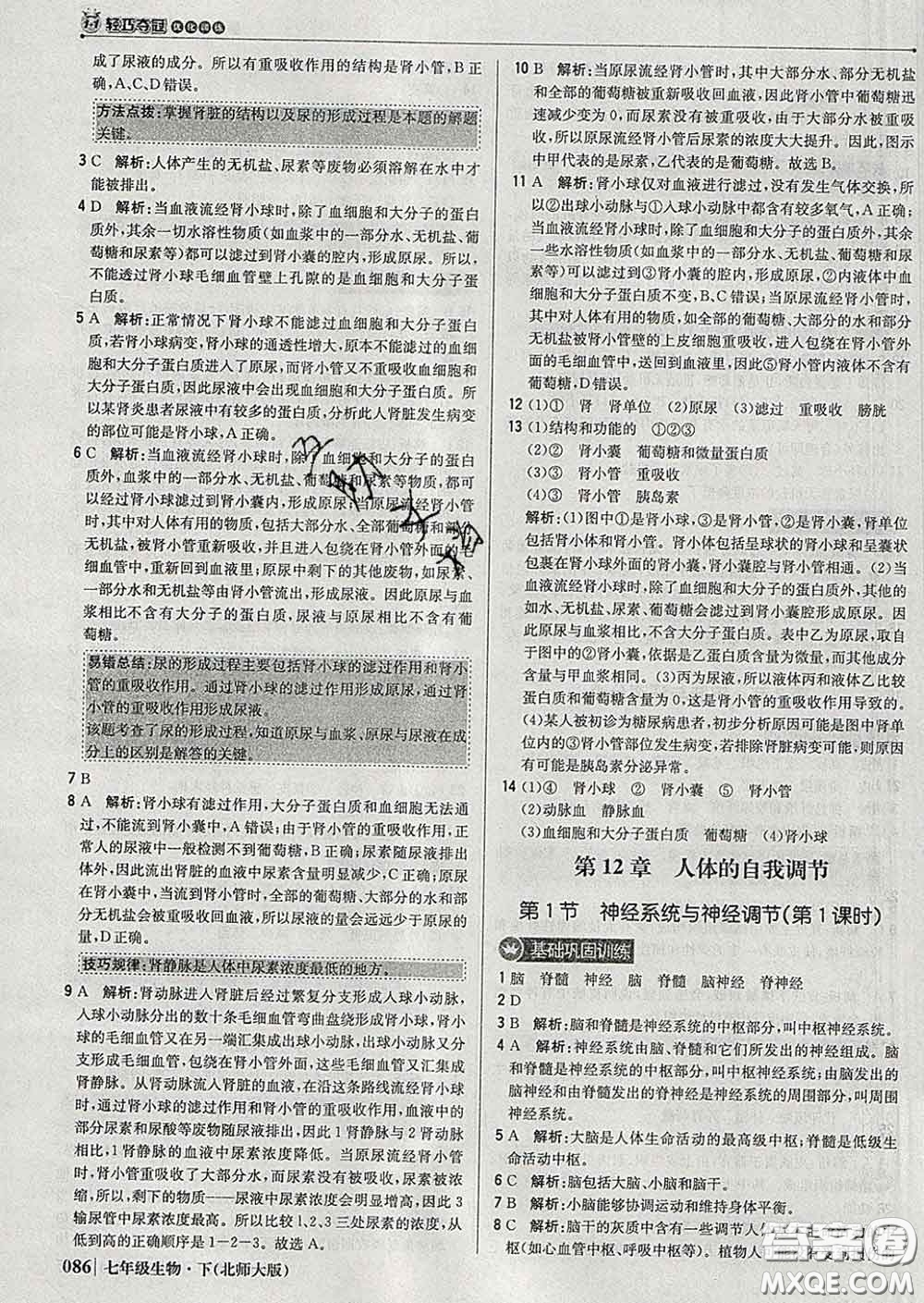 2020新版1加1輕巧奪冠優(yōu)化訓(xùn)練七年級生物下冊北師版答案
