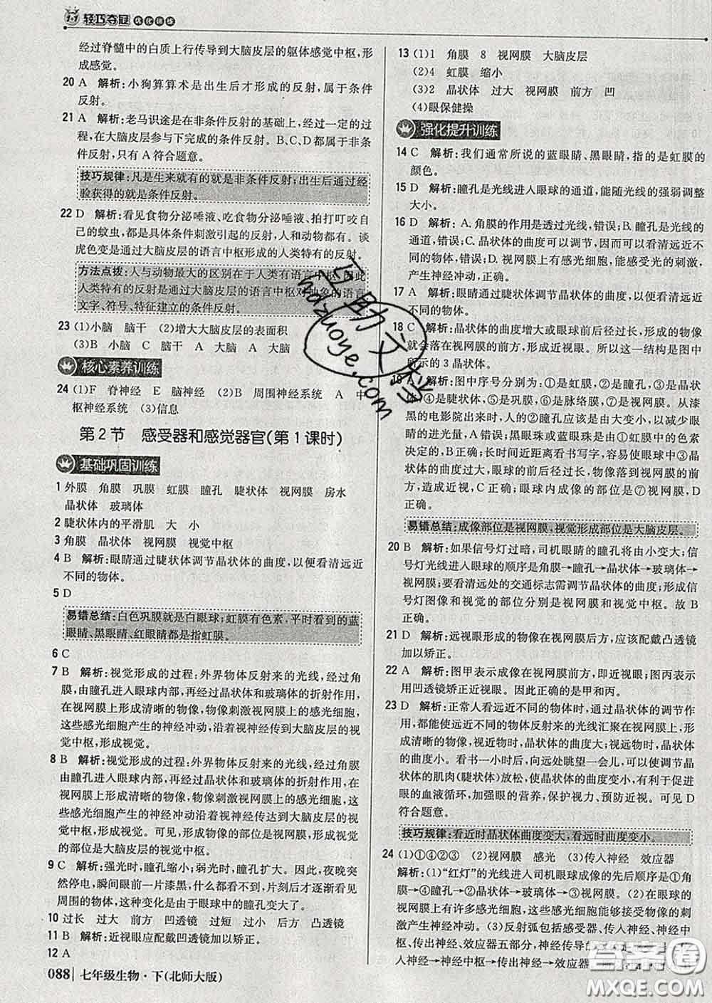 2020新版1加1輕巧奪冠優(yōu)化訓(xùn)練七年級生物下冊北師版答案
