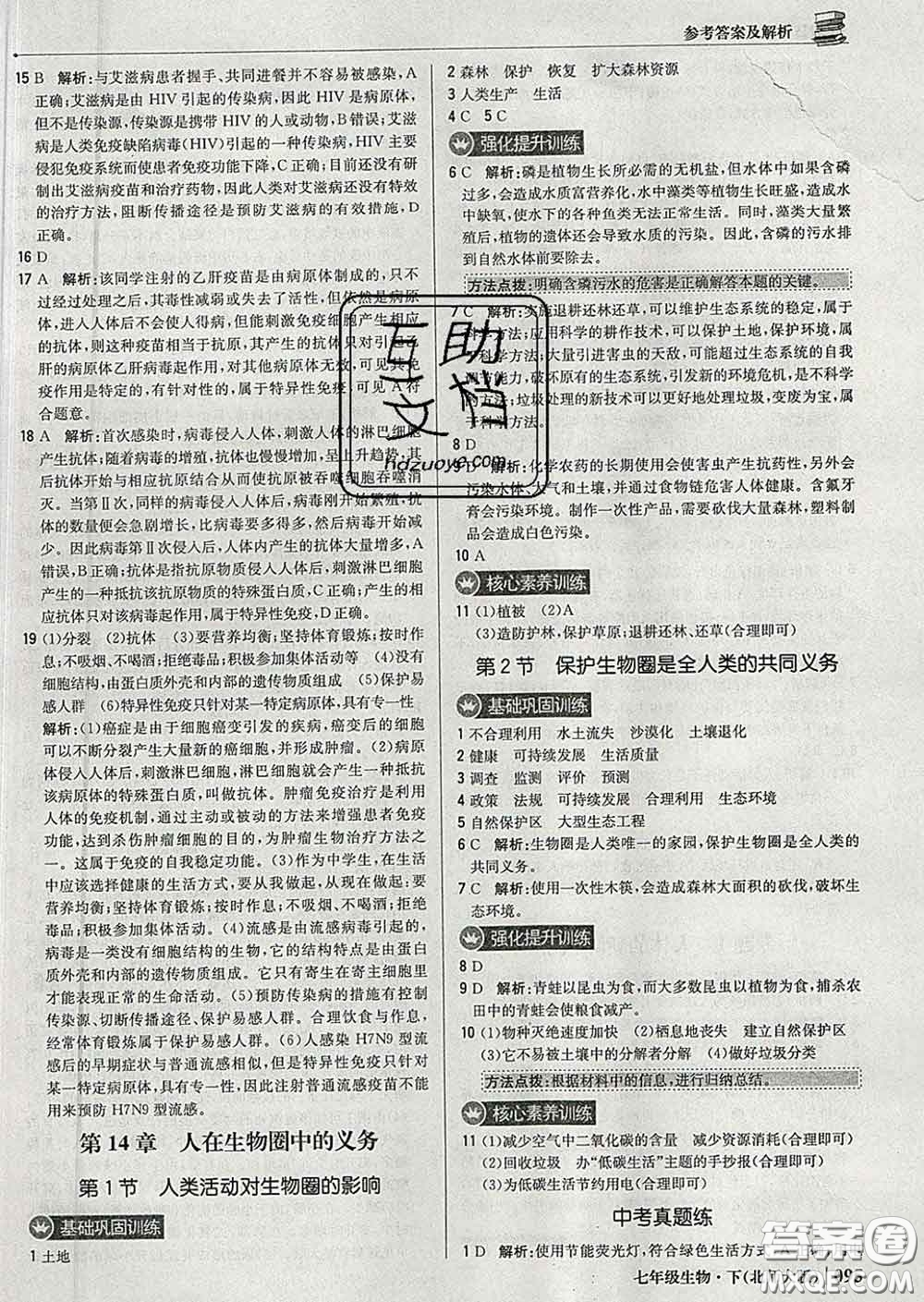 2020新版1加1輕巧奪冠優(yōu)化訓(xùn)練七年級生物下冊北師版答案