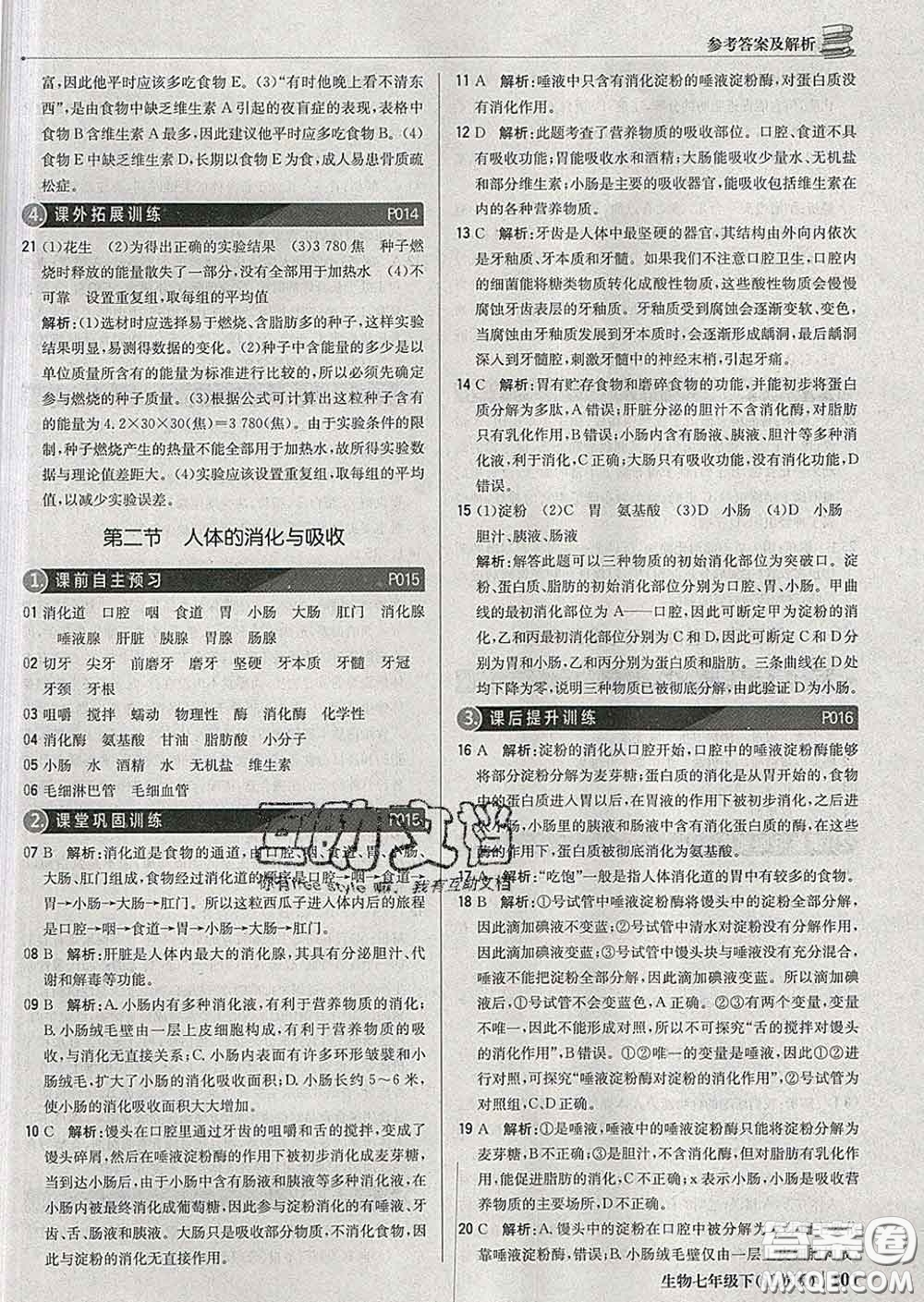 2020新版1加1輕巧奪冠優(yōu)化訓(xùn)練七年級(jí)生物下冊(cè)江蘇版答案