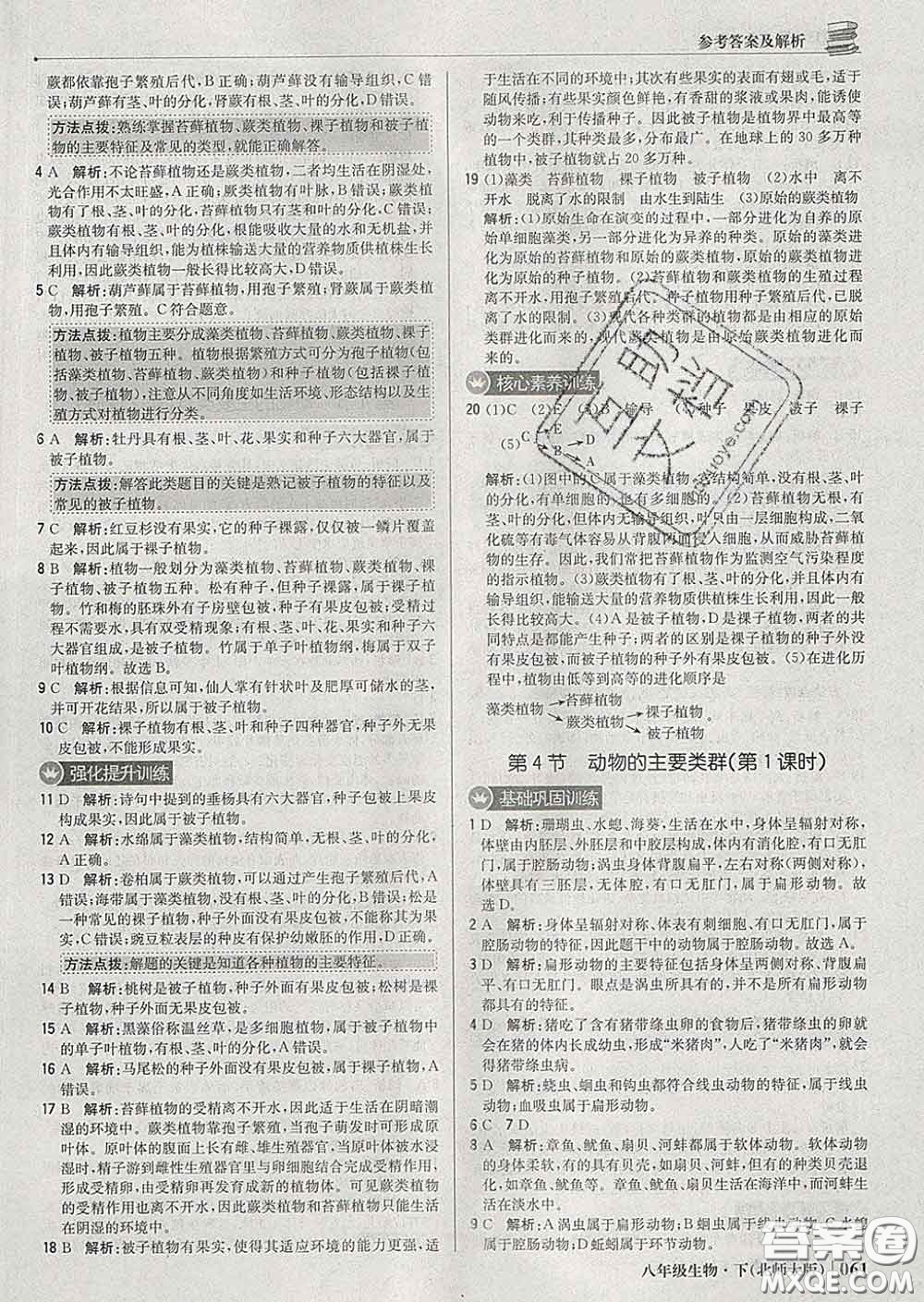 2020新版1加1輕巧奪冠優(yōu)化訓練八年級生物下冊北師版答案