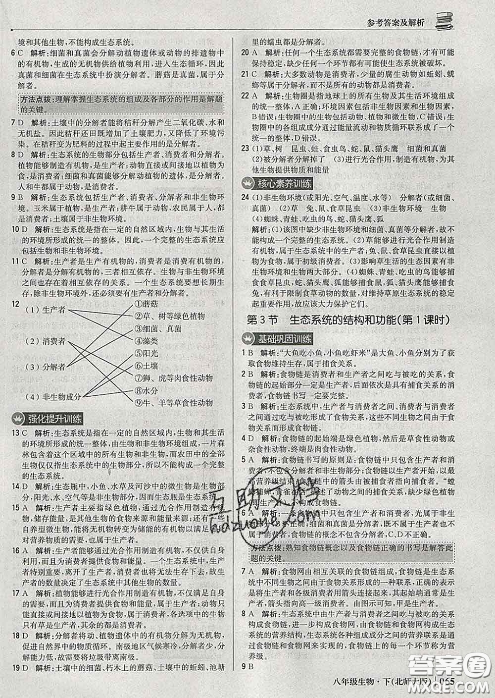 2020新版1加1輕巧奪冠優(yōu)化訓練八年級生物下冊北師版答案