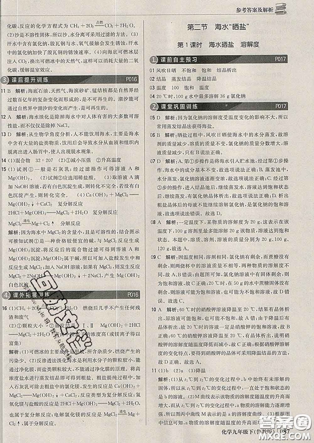2020新版1加1輕巧奪冠優(yōu)化訓(xùn)練九年級(jí)化學(xué)下冊(cè)魯教版答案