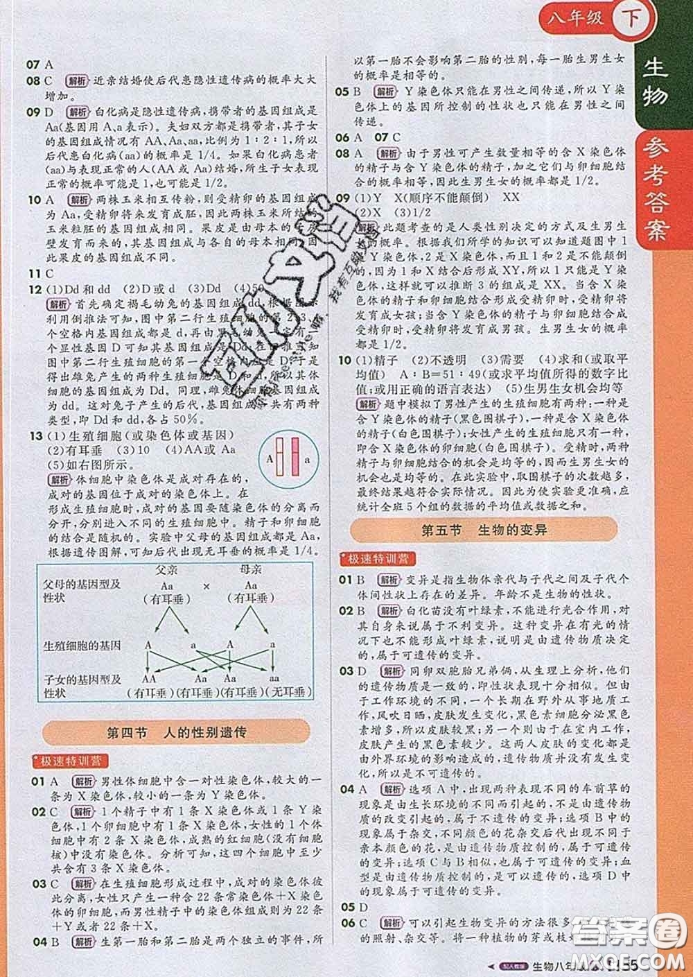 1加1輕巧奪冠課堂直播2020新版八年級生物下冊人教版答案