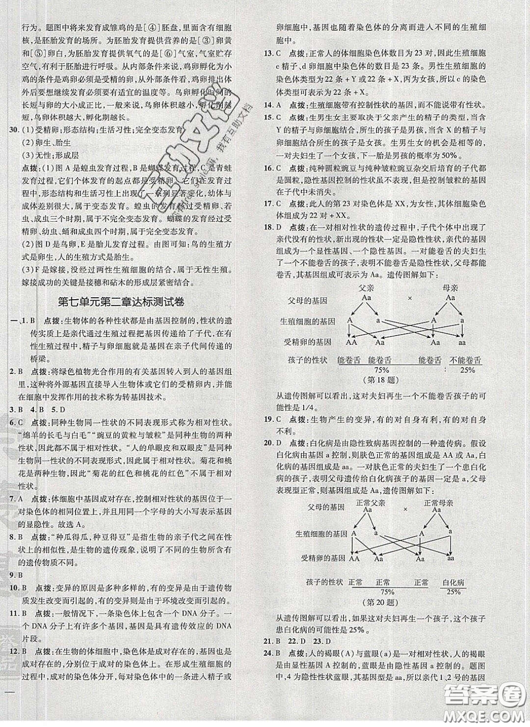 2020榮德基點(diǎn)撥訓(xùn)練八年級生物下冊人教版答案