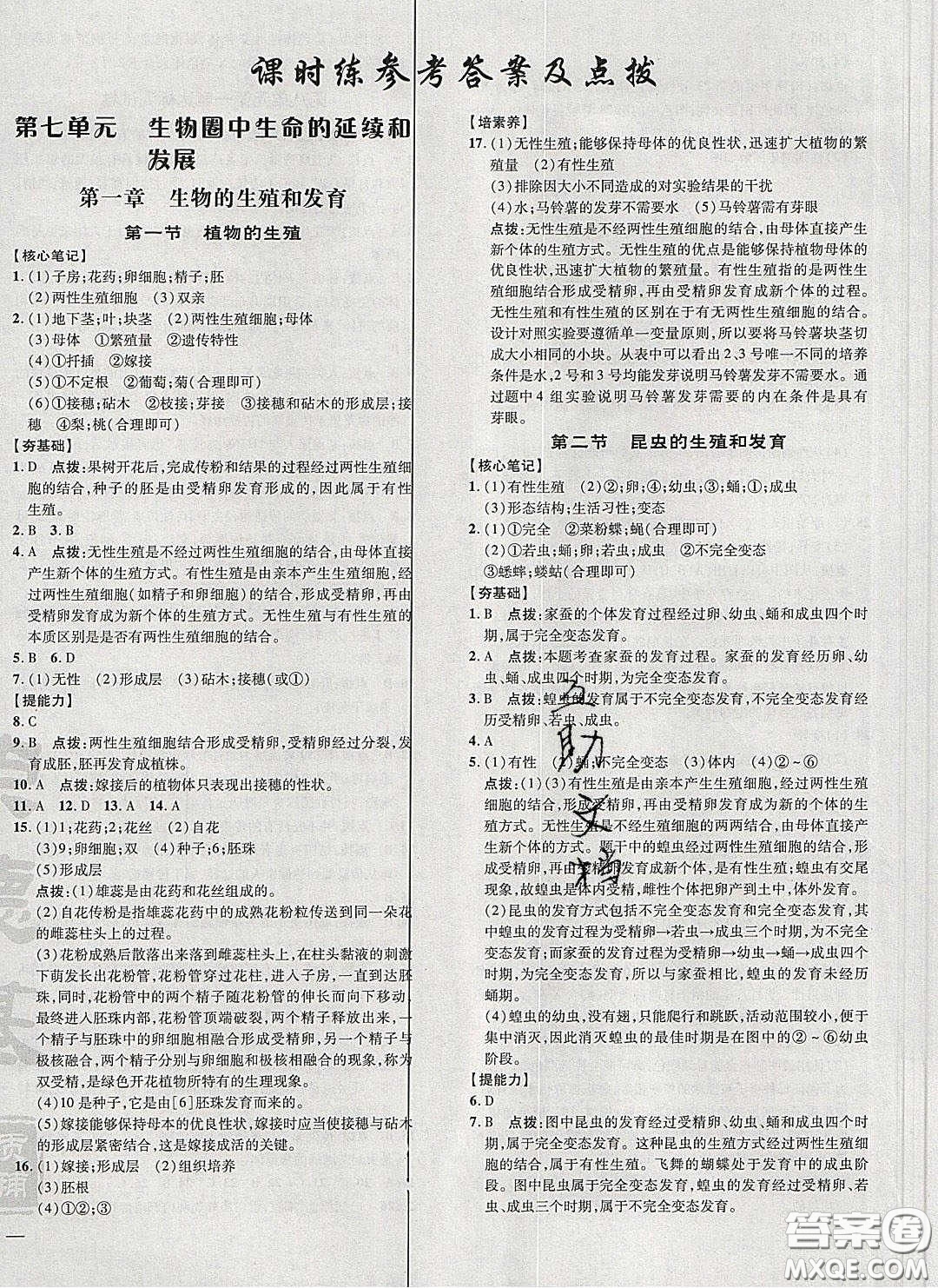 2020榮德基點(diǎn)撥訓(xùn)練八年級生物下冊人教版答案