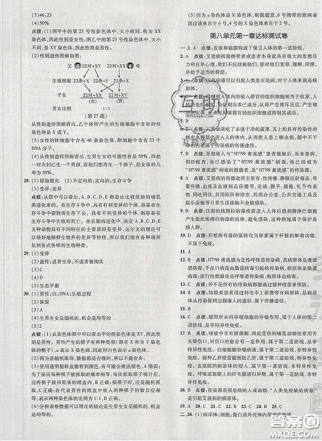 2020榮德基點(diǎn)撥訓(xùn)練八年級生物下冊人教版答案