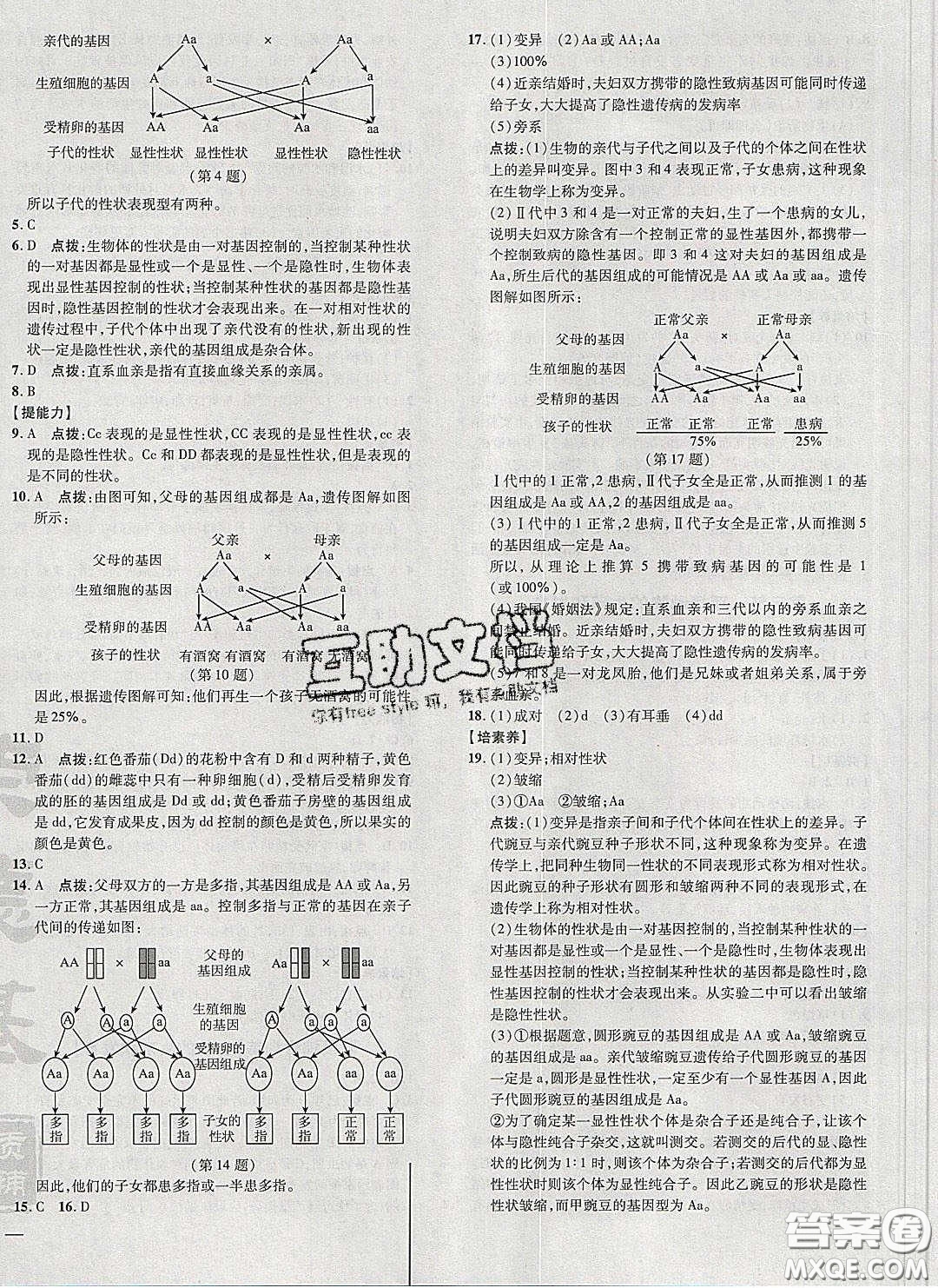 2020榮德基點(diǎn)撥訓(xùn)練八年級生物下冊人教版答案