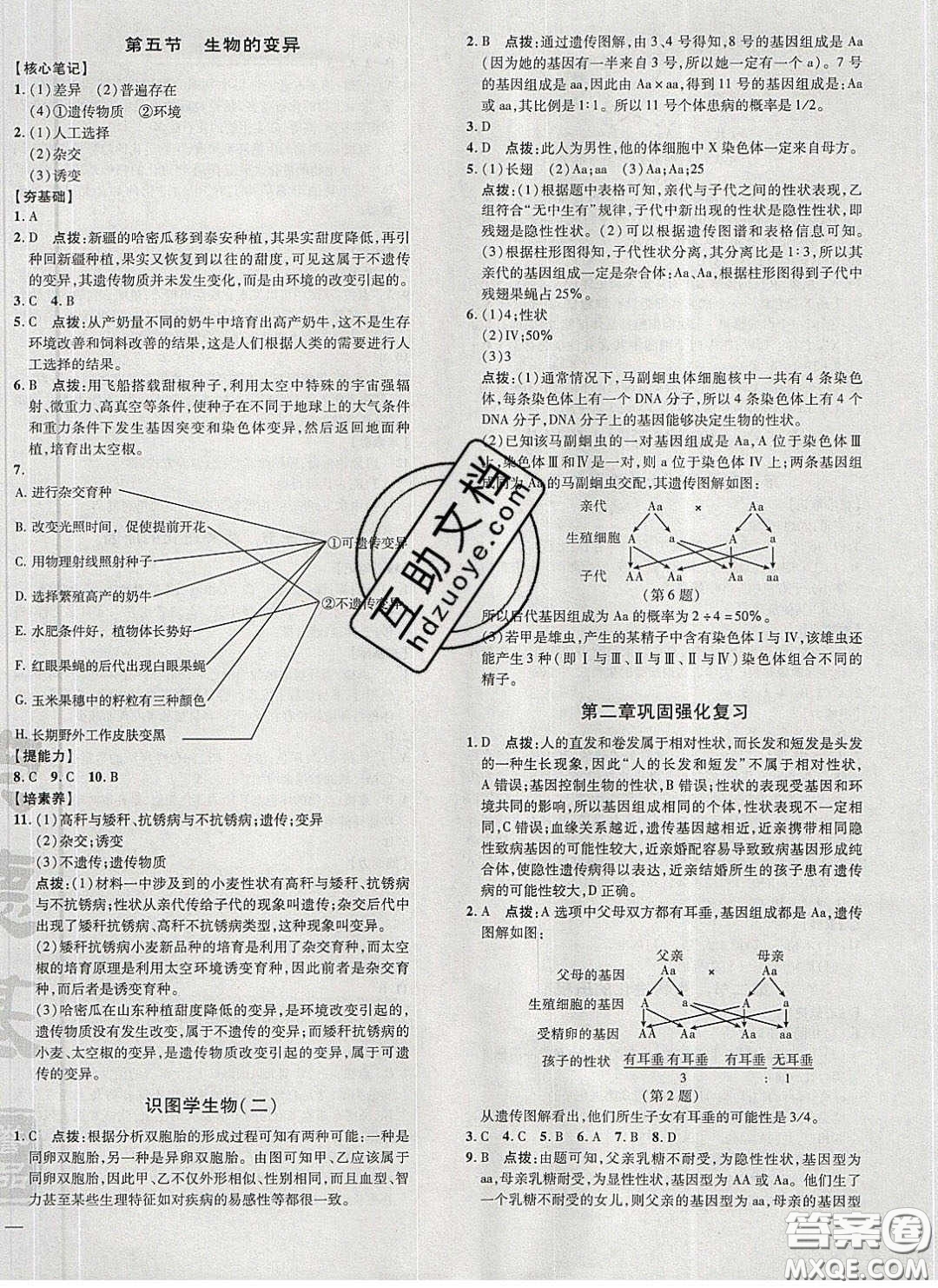 2020榮德基點(diǎn)撥訓(xùn)練八年級生物下冊人教版答案