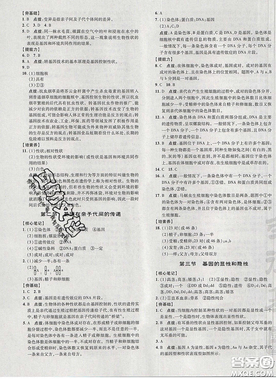 2020榮德基點(diǎn)撥訓(xùn)練八年級生物下冊人教版答案