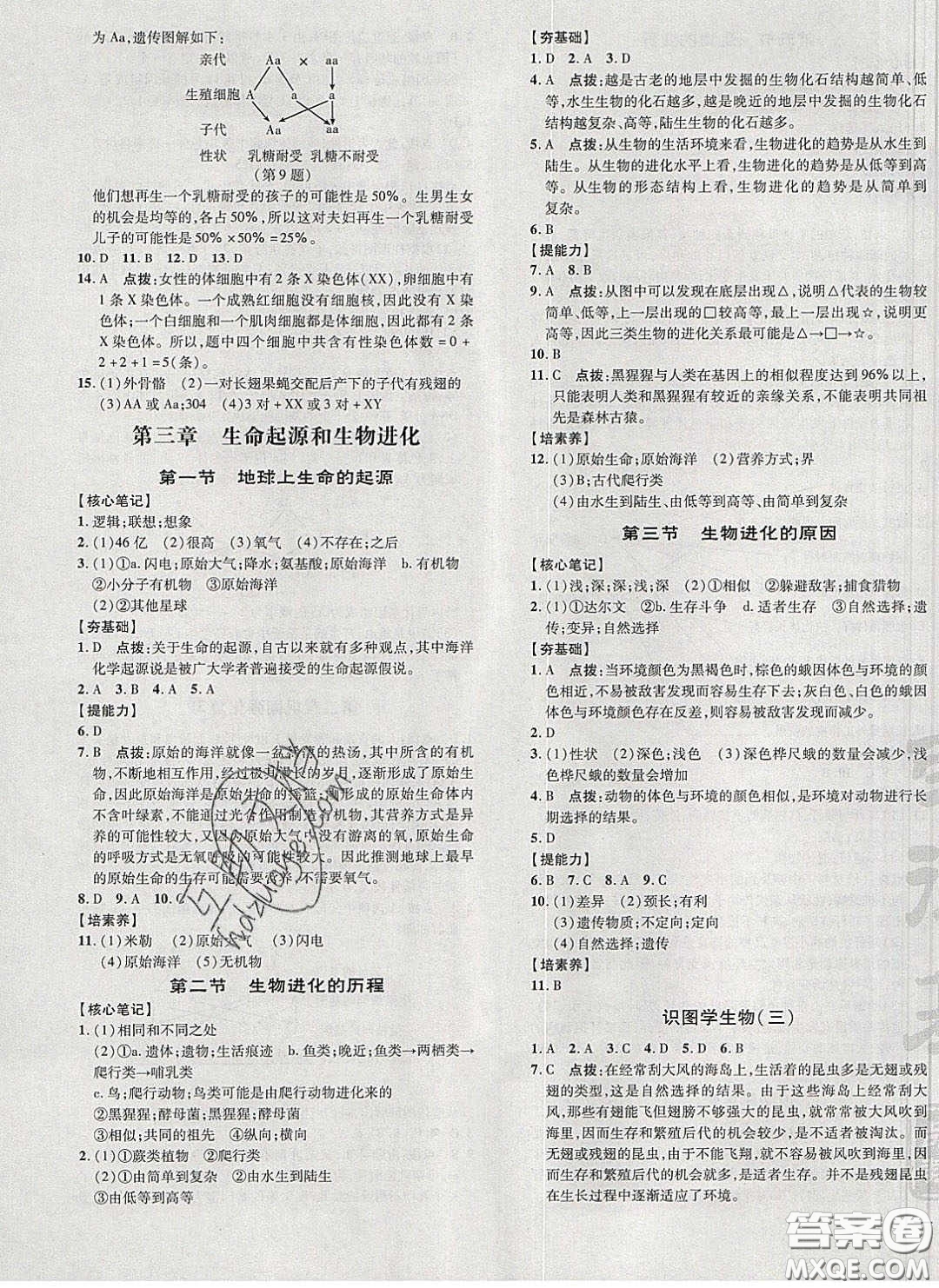 2020榮德基點(diǎn)撥訓(xùn)練八年級生物下冊人教版答案