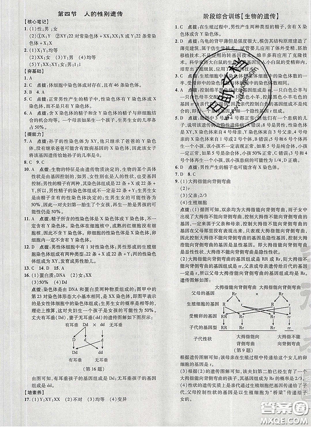 2020榮德基點(diǎn)撥訓(xùn)練八年級生物下冊人教版答案