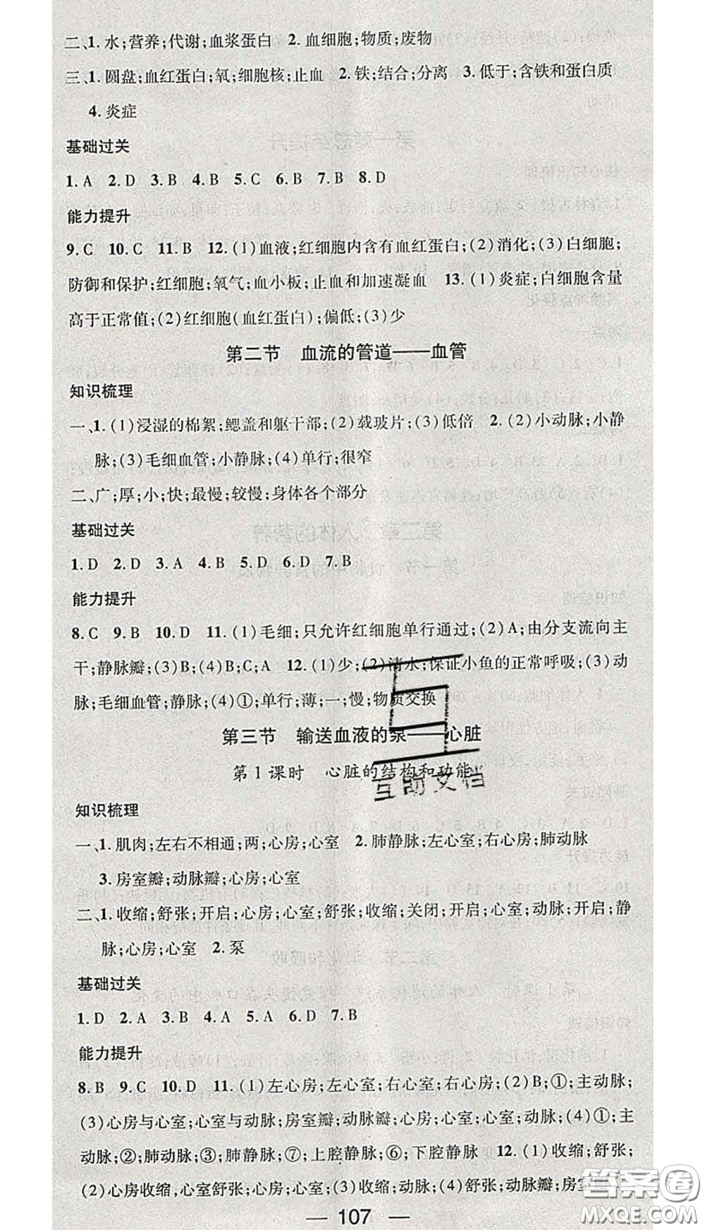 江西教育出版社2020春季名師測控七年級生物下冊人教版答案