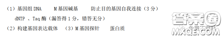 華中師大一附中2020屆高三3月測試理科綜合試題及答案