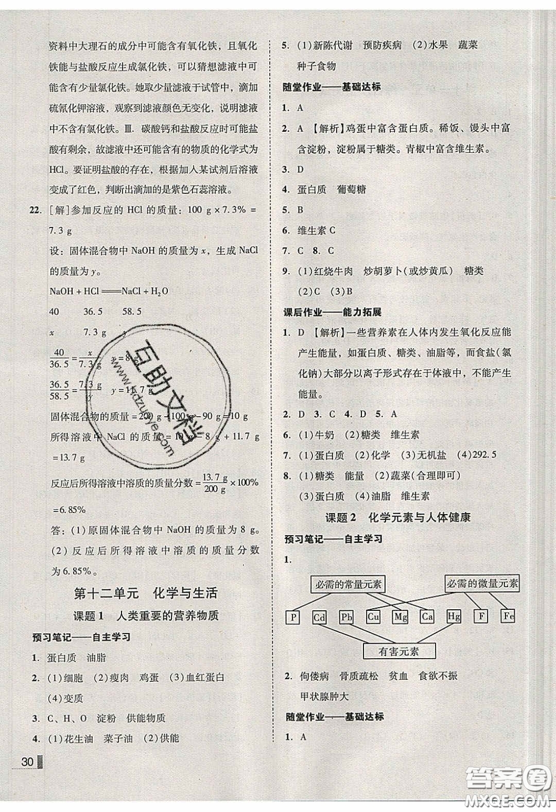 2020年遼寧作業(yè)分層培優(yōu)學(xué)案九年級化學(xué)下冊人教版答案