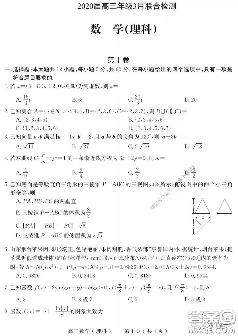河南六市2020屆高三年級(jí)3月聯(lián)合檢測(cè)理科數(shù)學(xué)試題及答案