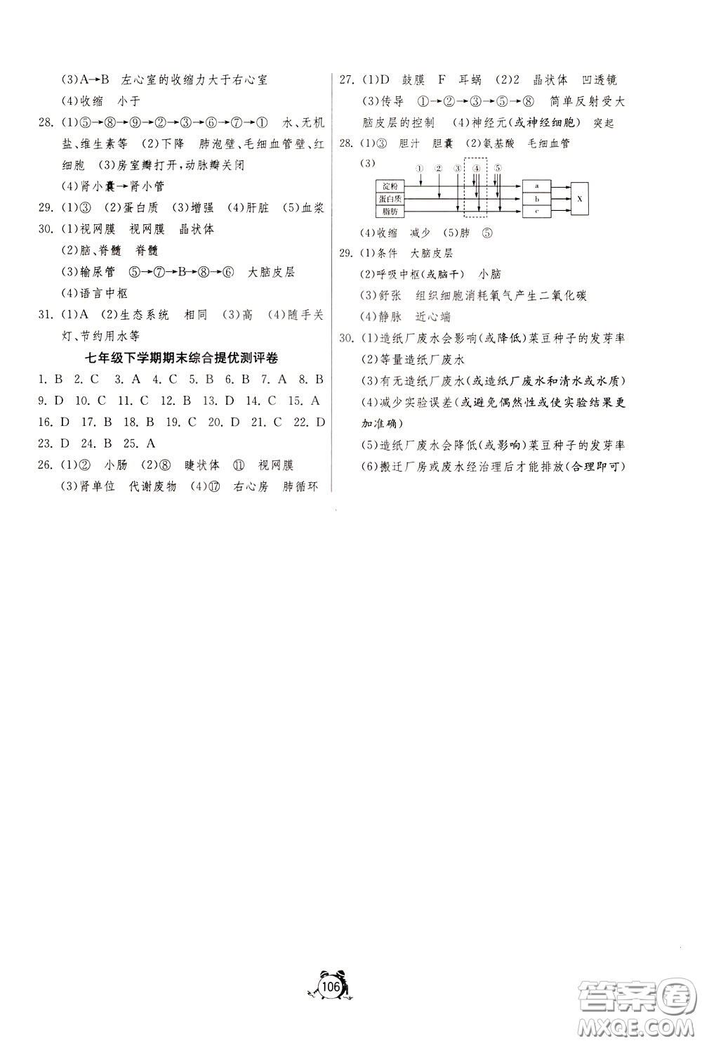 2020年單元雙測(cè)全程提優(yōu)測(cè)評(píng)卷生物學(xué)七年級(jí)下冊(cè)RMJY人民教育版參考答案