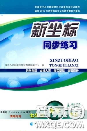 2020年新坐標同步練習數(shù)學七年級下冊人教版參考答案