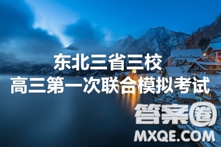 2020年東北三省三校高三第一次聯(lián)合模擬考試文科數(shù)學試題及答案