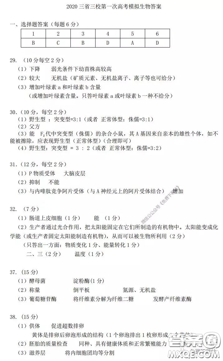 2020年?yáng)|北三省三校高三第一次聯(lián)合模擬考試?yán)砜凭C合答案