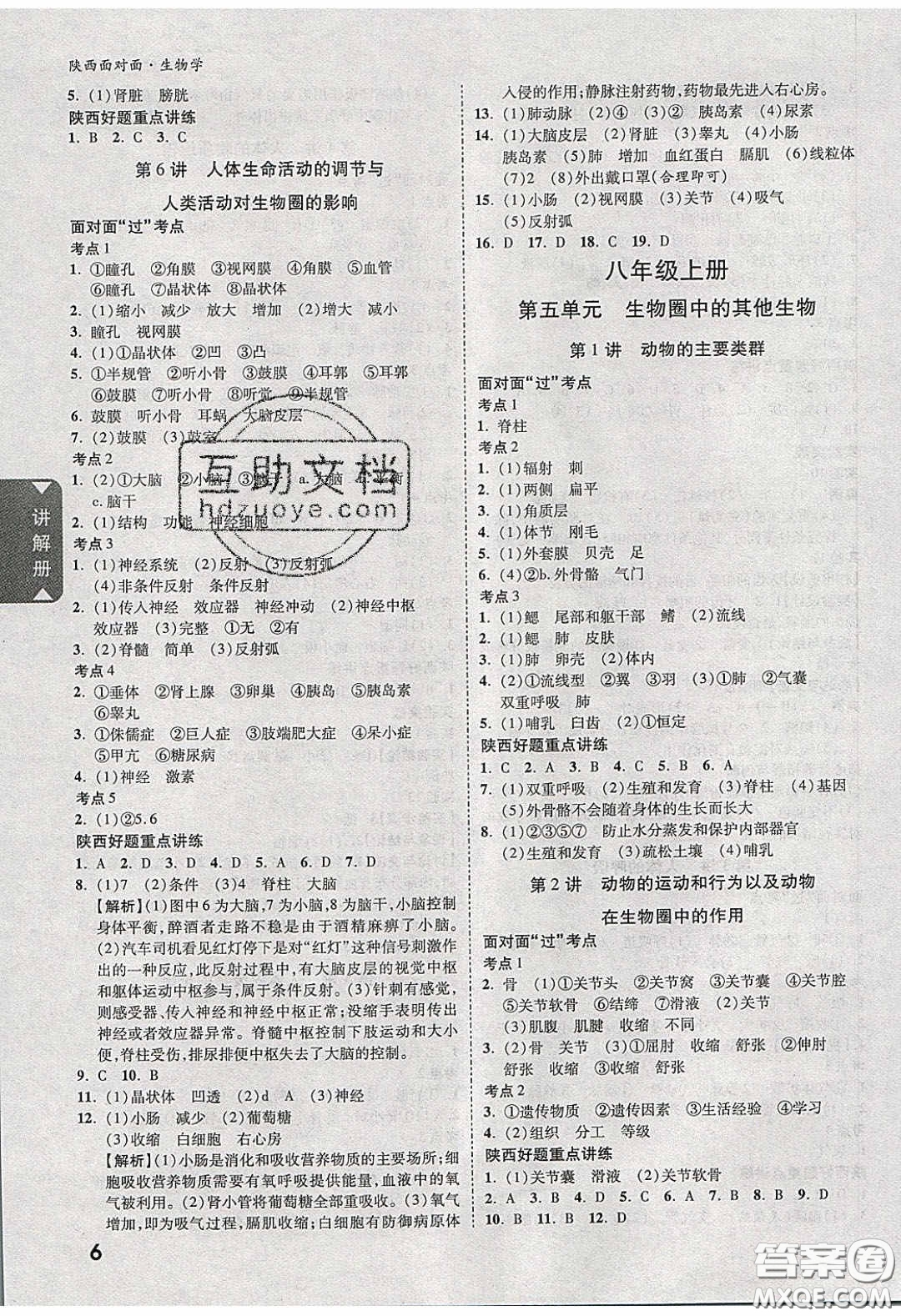 新疆青少年出版社2020年萬維陜西中考面對(duì)面生物學(xué)人教版答案