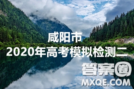 咸陽市2020年高考模擬檢測二理科數(shù)學(xué)試題及答案