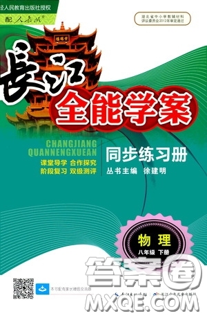 2020年長江全能學案同步練習冊物理八年級下冊人教版參考答案